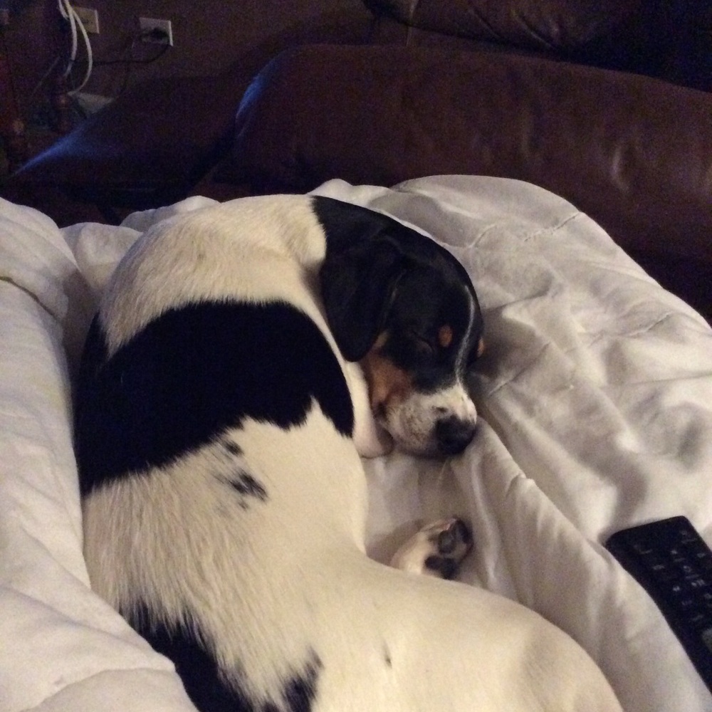 Meet your Posher, Lana